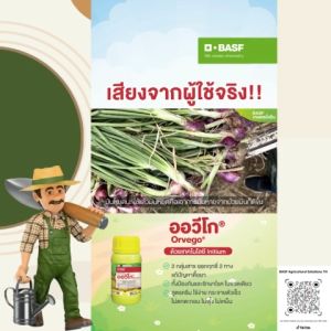 BASF Orvego ออวีโก สารป้องกันกำจัดโรคพืช ขนาด 250 มล.