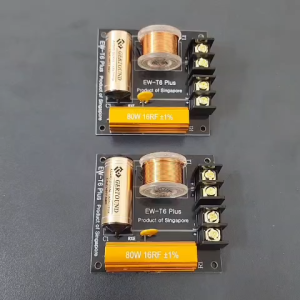 Mạch Phân Tần Loa Treble EWT6 Plus - Sử Dụng Cho Mọi Dòng Loa Treble Khác Nhau