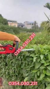 Máy cắt tỉa hàng rào cây cảnh dùng Pin - Lapusen - Công Nghệ Đức - Máy siêu khỏe bảo hành 24 tháng