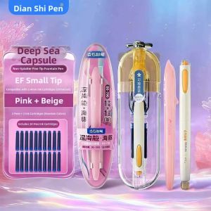 DIANSHI | Elementary School Student Suitable Fountain Pen