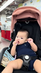 Qiu Tian Man Man Organic Baby Teething Sticks for 6-12 Months+ | Teethers for Babies | Gentle on Gums (64g)