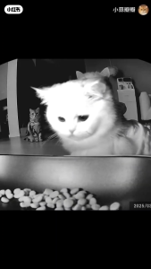 SG【Ready Stock】Smart Vision Pro 5L Pet Feeder with Dual Bowls Smart Feeder with Night Vision and Anti-Choking Design