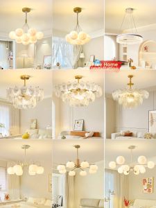 DGY | Modern Minimalist French Luxe Ceiling Light