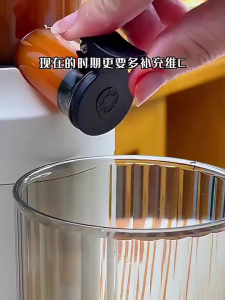 Home Slow Juicer 1000ML | Quiet Motor | Easy Assembly & Cleaning