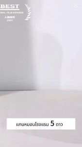 หมอนหนุนโรงแรม หลับสบายไม่ร้อนหัว ไม่เก็บฝุ่น สัมผัสนุ่ม ป้องกันไรฝุ่น ซักเครื่องได้