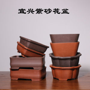Yixing Purple Sand Flowerpot Cheap Bonsai Basin Calamus Podocarpus Macrophyllus Basin Rectangular round Basin Desktop Asparagus Fern Basin