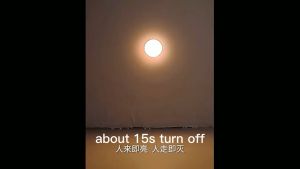 Slamp 8LED Night Light Indoor Lighting 5W Motion Sensor Cabinet Light USB Charging Long Battery Life Wall Light 0 Seconds Induction Warm Light Bedside Lamp for Kitchen Bedroom Stairs Cabinet Closet