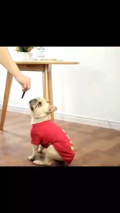 ขนมขัดฟัน ทรงดาว3แฉก ขนมน้องหมา ลดกลิ่นปาก หินปูน กรามแข็งแรง ขนาด510กรัม