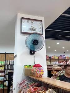 ZUANSHIPAI | Wall-mounted Fan with Large Airflow Remote Control