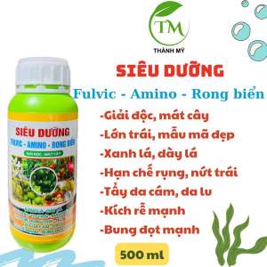 Phân bón lá SIÊU DƯỠNG AMINO RONG BIỂN chai 500ml kích rễ kích đọt lớn trái giải độc mát cây.
