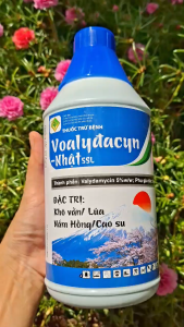 [TRUNG THIEN THINH] Thuốc trừ bệnh cao cấp Voalydacyn Nhật 5SL (hoạt chất Valydamycin 5%) chuyên trừ bệnh đốm vằn nấm hồng chết cây con chai 1 lít