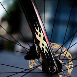 2PCS Waterproof Sunscreen Mountain Bike Sticker - Scratch Resistant Trim Suitable for Front Forks and Frames Durable