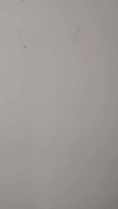 RUMPUT OXYLIA SINTETIS 40x60/RUMPUT/RUMPUT OXYLIA/PERNIKAHAN/DEKORASI/PERNIKAHAN