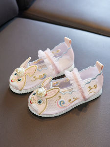 Chinese Traditional Girls Embroidered Shoes