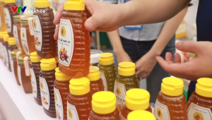 Mật ong nguyên chất hoa Vải mật ong tự nhiên 100% tăng sức đề kháng giảm ho mật ong CvdBeehoney