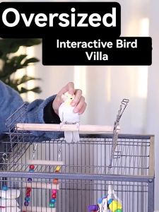 【COD】Hot sale Bird cage Big Parrot cage budgerigar cage large starling cardinal bird peony parrot cage Breeding Cage