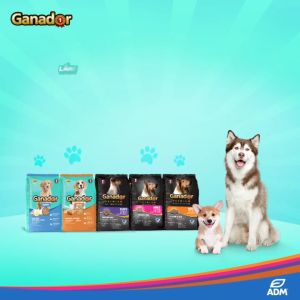 thức ăn hạt ganador chó con - T3 PETS SHOP
