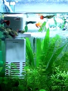 Sobo Aquarium Internal Filter Water Pump WP-650F WP-750F WP-850F WP-1000F WP-3200F