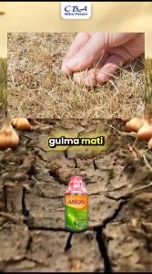 AMON 150 SL  Herbisida Pembasmi rumput dan gulma Kemasan 1 liter
