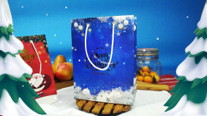 Paper Bag Natal - Paper Bag Christmas| 15x8x20 cm Varian (5 pcs)