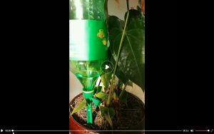 Suomi Green Plant Waterer Self Watering Spikes System-Vacation Automatic Irrigation Watering