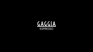 Gaggia Espresso Style Black Espresso Machine