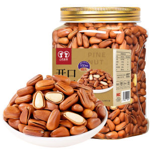 EIGHT GOLDEN CATS | Extra Large Red Pine Nuts 500g