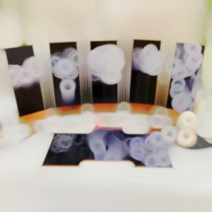 Hiasan Dinding Kamar Bunga Black & White Aesthetic (15x30) Wall Decor Pajangan Dinding Kamar Poster Realistis Bagus Kayu Ruangan Hiasan Dinding Kamar Realistis