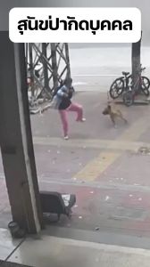 ✅ไล่สุนัขป่าไป🔥 Carsrain เครื่องไล่สุนัข ระยะหวังผล1-9เมตร ไม่มีอันตรายต่อสุนัข การฝึกสุนัขแบบมืออาชีพ การรบกวนด้ว อัลตราโซนิก ไล่ไปในหนึ่งวินาที เครื่องไล่สุนัขอัลตราโซนิก เครื่องไล่สุนัขแบบพกพา โดยไ เครื่องไล่สุนัขล้ำเสียง เครื่องไล่สุนัขสัตว์เลี้ยง