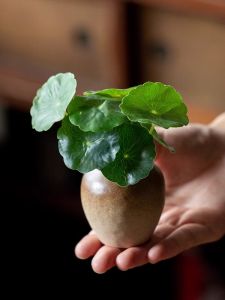 Mini Brown Glaze Ceramic Vase Indoor Decorative Flower Pot for Living Room Green Ivy Water Cultivation Plant Lantern Holder