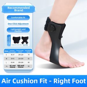 ZHONGLIANG | Foot Droop Inversion & Eversion Correction Device