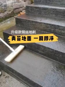 20/30cm Stainless Steel Floor Brush With 120cm Wood Handle For Bristle Iron Pool Moss Cleaning