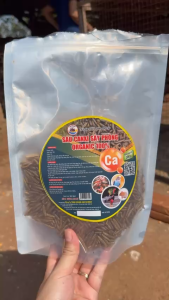 Sâu Canxi Sấy Phồng - Thức Ăn Siêu Dinh Dưỡng Bổ Sung Cho ChimGà Cá Tôm