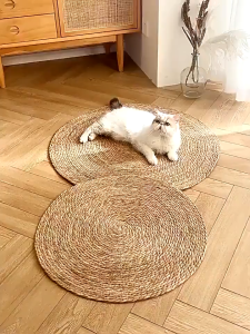 PETCARESMY Cat Scratching Board Large Claw Grinding Cat Toy Wear-Resistant Scratch-Resistant Non-Shedding Scratching Oversized