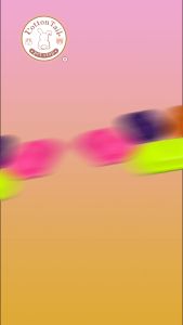 Tempat Makan Minum Anjing Kucing Anti Semut PF-129 Varian Warna