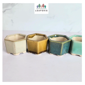 The Leaferie Bonsai (Series 81) plant pots. flowerpot . flowerpots . flower pot . planter . planters