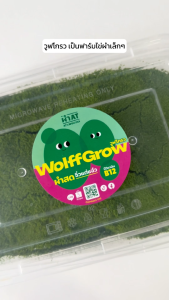 ผงปุ๋ย AB สำหรับผสมน้ำ 1 5 10 20 ลิตร สูตรสำหรับไข่ผำ การันตี!! ใช้จริง ใช้เองที่ฟาร์มไข่ผำ WolffGrow