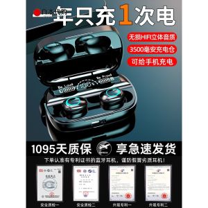 Berlin Sound True Wireless Bluetooth Earphones In-Ear High-End Sound Quality Sports Noise Reduction New 2024 Model