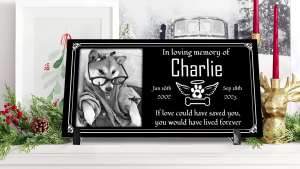 Pet Memorial Stones for Dogs HeadstonesPersonalizedGrave Markers for Cemetery12x6 In Temporary Cat Grave Stone with Photos DecorationsMemorial Plaques for Memorial Gifts for Loss Outside