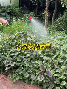 Philips Rechargeable Water Pump Field Watering Machine For Home Agricultural Vegetable High Capacity lithium Battery Ground Irrigation Machine Multifunctional Portable Water Pump