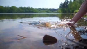 Sougayilang | Dây Câu Cá Bện Sougayilang 8X 320YDS Lực Kéo Tối Đa 100LB Đa Sợi PE Dùng Cho Câu Cá Bass Cá Pike Cá Chép Nước Mặn Nước Ngọt