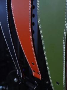 GINGPAI | Weightlifting Belt For Pull-ups Squats