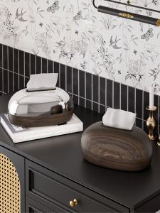 ASCOR | Luxury Wall-mounted Tissue Box