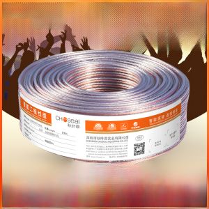 Akihara High Fidelity Gold and Silver Horn Wire Speaker Cable 5.1 Cinema Speaker Amplifier Subwoofer Surround Audio Cable