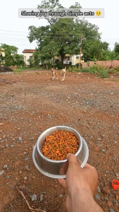 PRO SELECTION ADULT DOG FOOD (LAMB & RICE) - 22KG