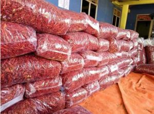 5 KG CABE TEJA CAPLAK KERING TANPA TANGKAI KWALITAS SUPER PEDAS
