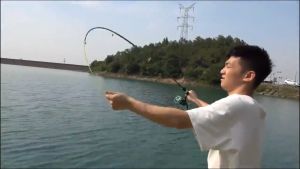 JinSports วงล้อตกปลาขนาดเล็กรุ่น 200 พร้อมสาย อุปกรณ์ตกปลา คันทะเล คันเบ็ด วงล้อตกปลา