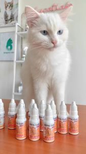 ROYAL CARE TETES OBAT DEMAM KUCING: MENGOBATI & MENYEMBUHKAN DEMAM