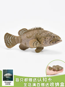 Solid Simulated Marine Animal Toy Model Childrens Educational Decorations Stonefish Red Season Fish Static Cognitive Gifts