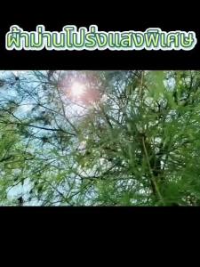 ผ้าใบกันฝน ผ้าใบใส(มีตาไก่ ติดตั้งง่าย) ผ้ากันฝน ขนาด:2x2 2x3 2x4 3x3 3x4 3x5 อย่างดี วัสดุPE  กันน้ำ ผ้าใบพลาสติกเอนกประสงค์ ผ้าใบกันน้ำหนาสองด้าน
